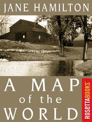 cover image of A Map of the World